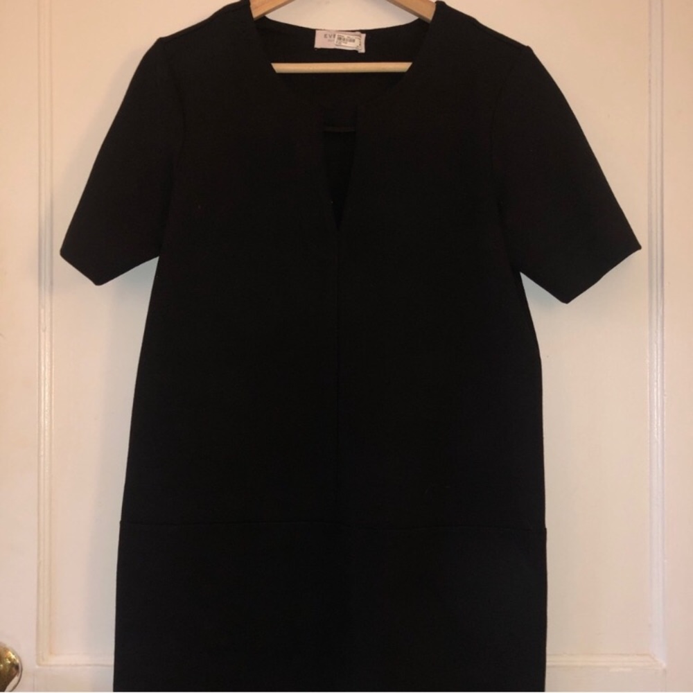 Everlane Black V-neck Dress